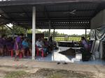 โครงการขับเคลื่อนการพัฒนาหลักปรัชญาเศรษฐกิจพอเพียง...